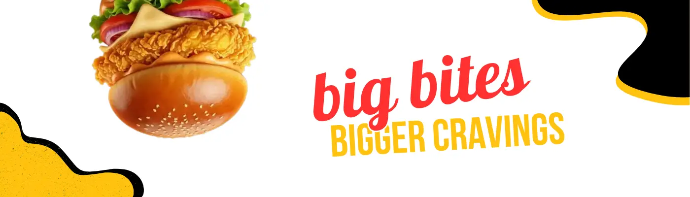 Premium Burgers at BUNZ.pk Pakistan - Beef, Grilled Chicken & Zinger